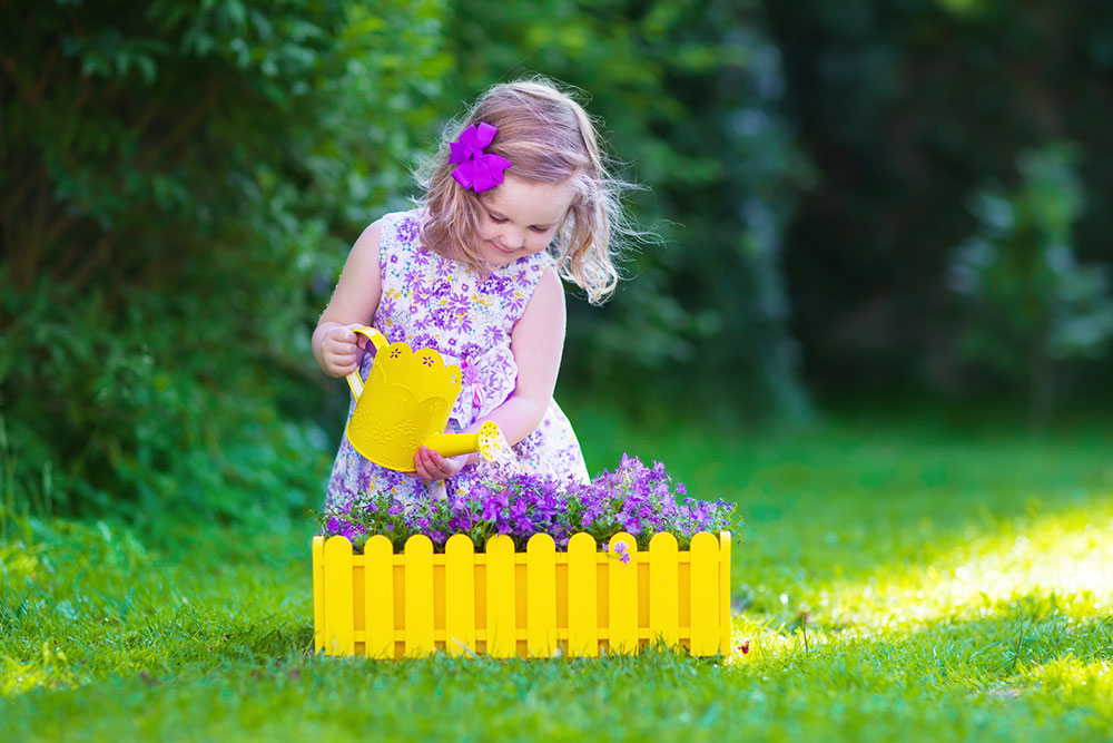 The Mental Health Benefits of Gardening