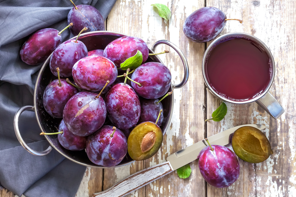 6 Toxic Human Foods for Dogs