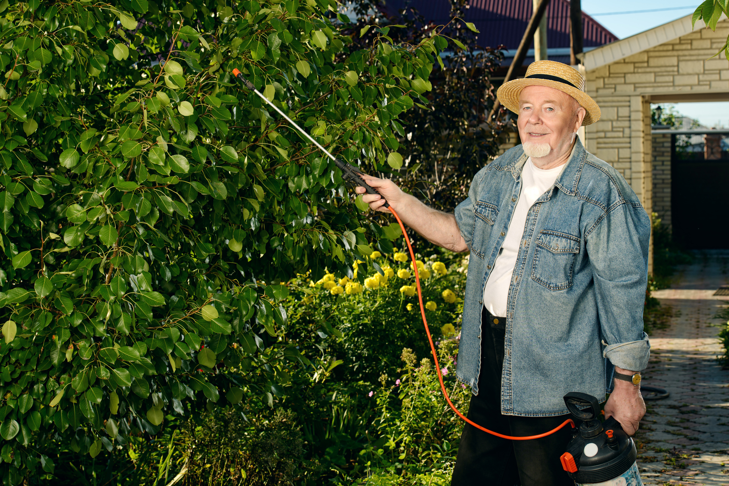 5 Tips For Fixing Common Lawn Issues